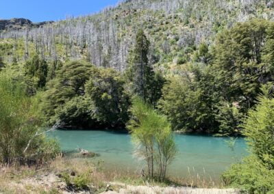 LOTE-EN-VENTA-CHOLILA