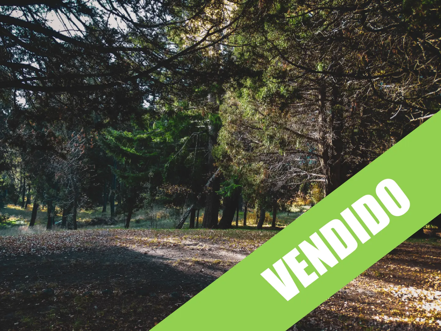 lote-traful-venta lote-traful-venta