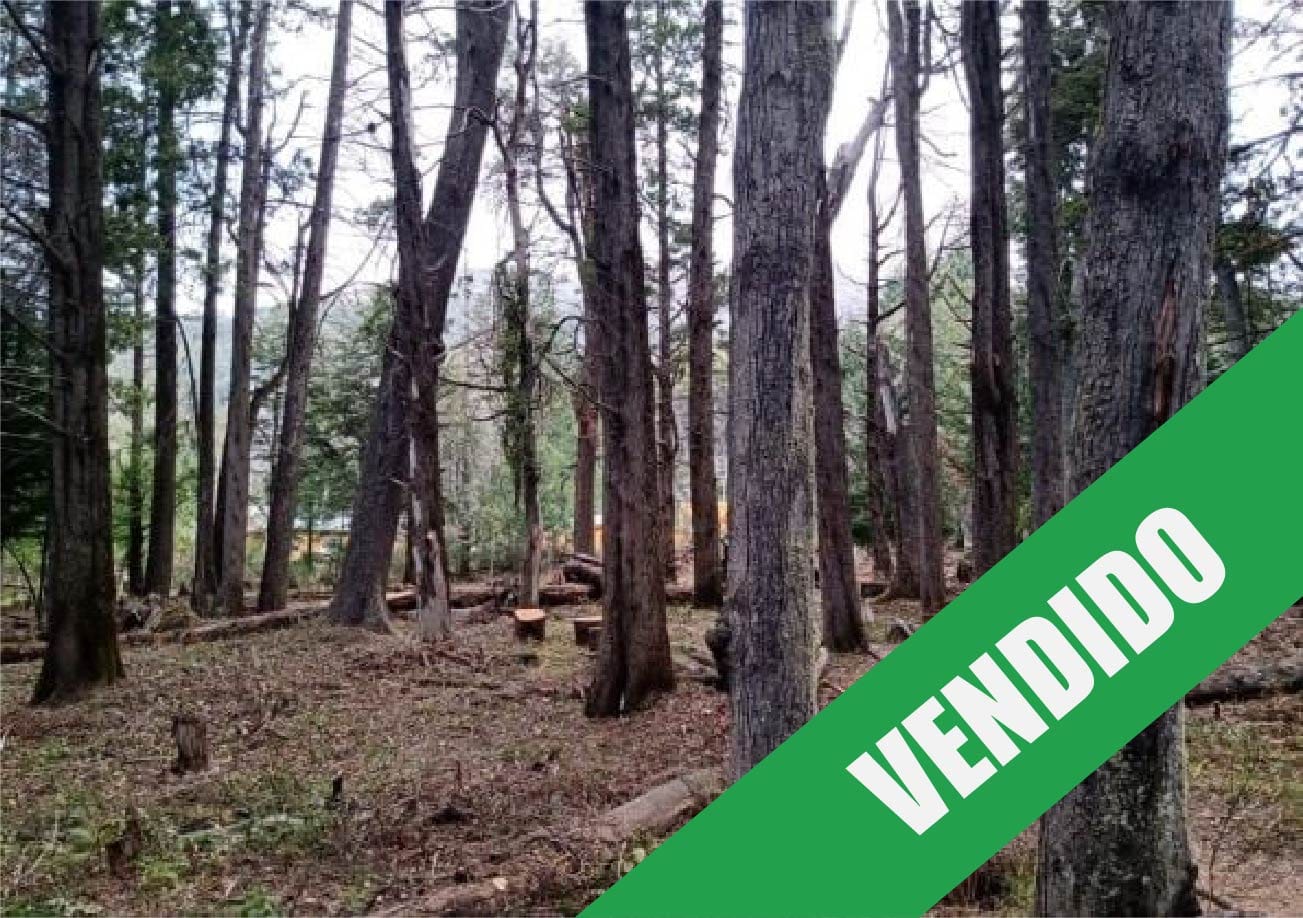 LOTE-VEMDIDO-TRAFUL (2)